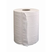 EC-100 Earthcare Roll Towel CTN 19cmx100M x12