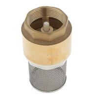 Brass Mesh Filter w/Valve FC100