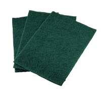 Vileda Scrubbing Pad