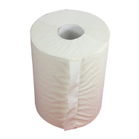 Softex Recycled roll towel 16 rolls 19cm x 100m 6/SP100HT16