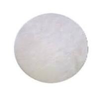 Round Inlet Filter Disc suit older Pullman Pk10